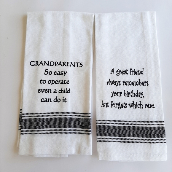 Other - SET OF TWO NWOT DISH TOWELS